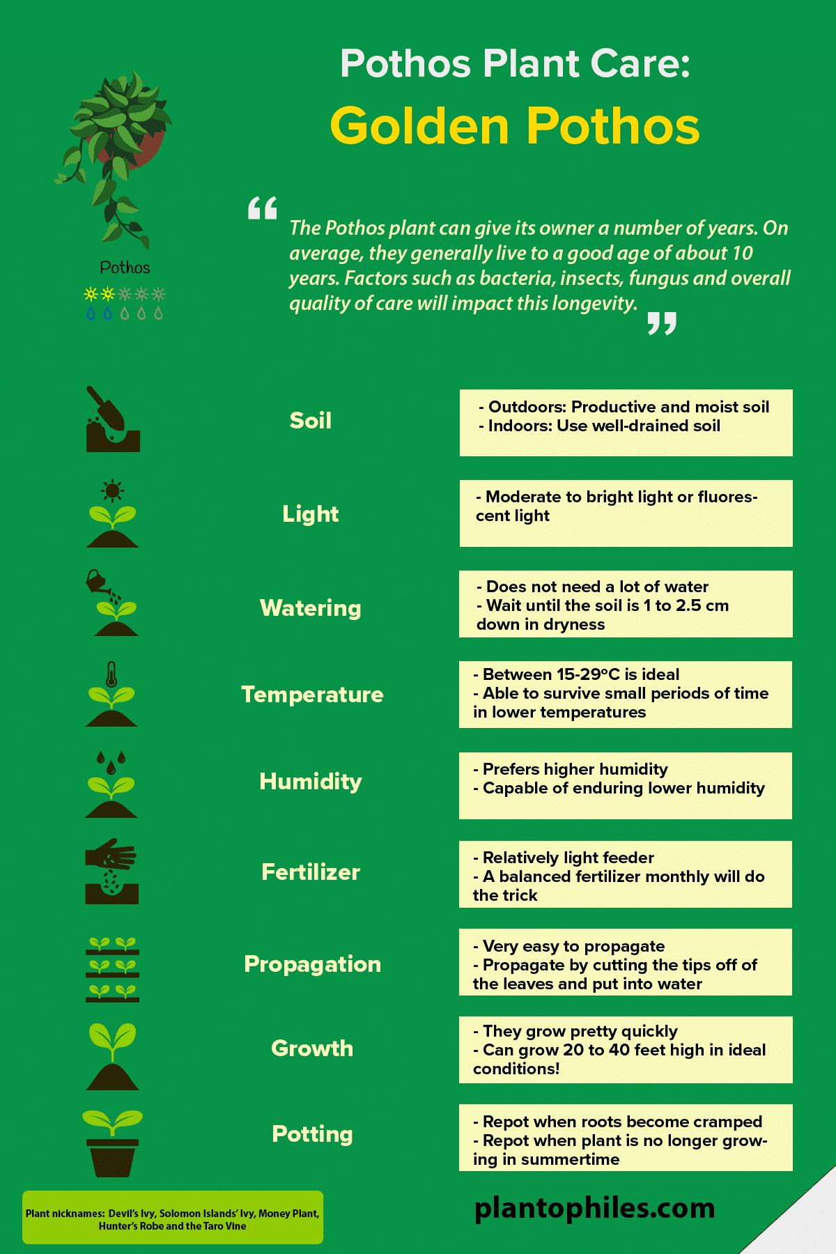 Pothos植物护理信息图