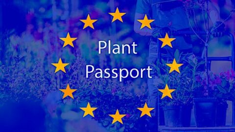 新:欧盟植物护照-什么你需要知道