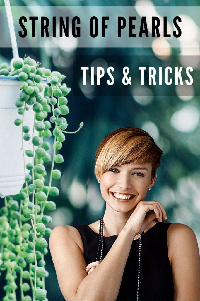 String of Pearls Tips & Tricks