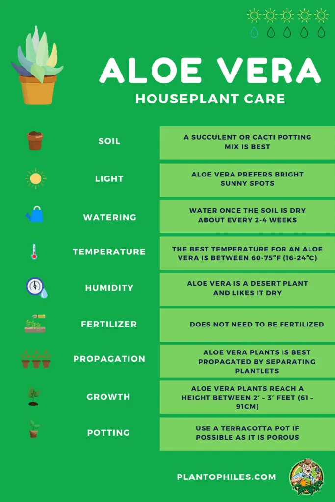 Aloe Vera Houseplant Care Sheet