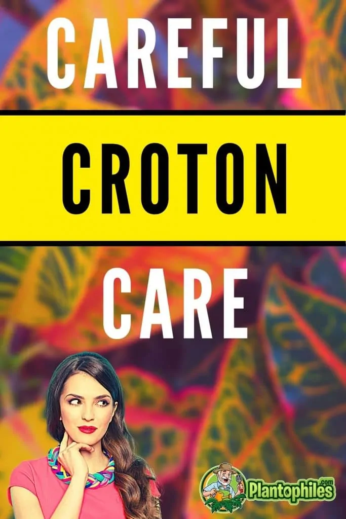 Careful Croton Care
