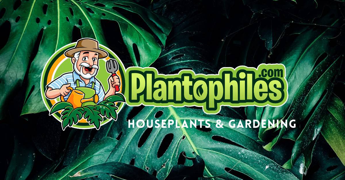 Plantophiles.com室内植物和园188金宝慱亚洲体育艺博客188bet体育平台