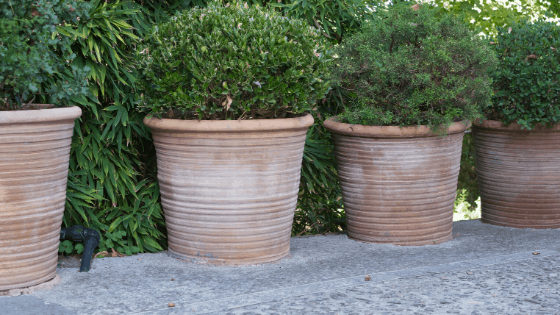 Terracotta pots have great heat retention abilities
