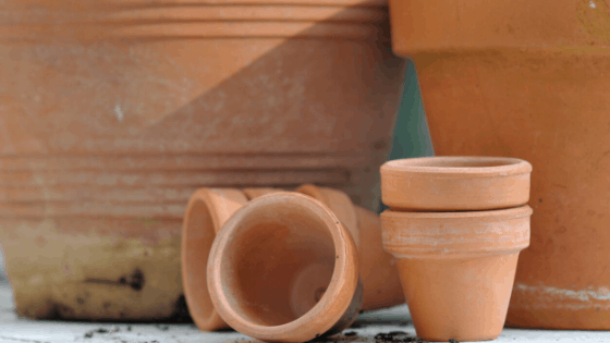 I just love the patina on older terracotta pots
