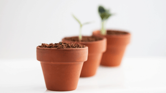 Are Terracotta Pots Good For Plants?