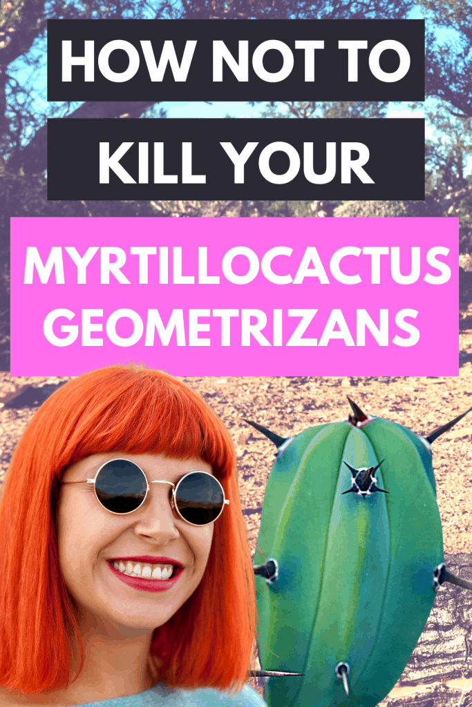 Myrtillocactus Geometrizans Plant Care Pin
