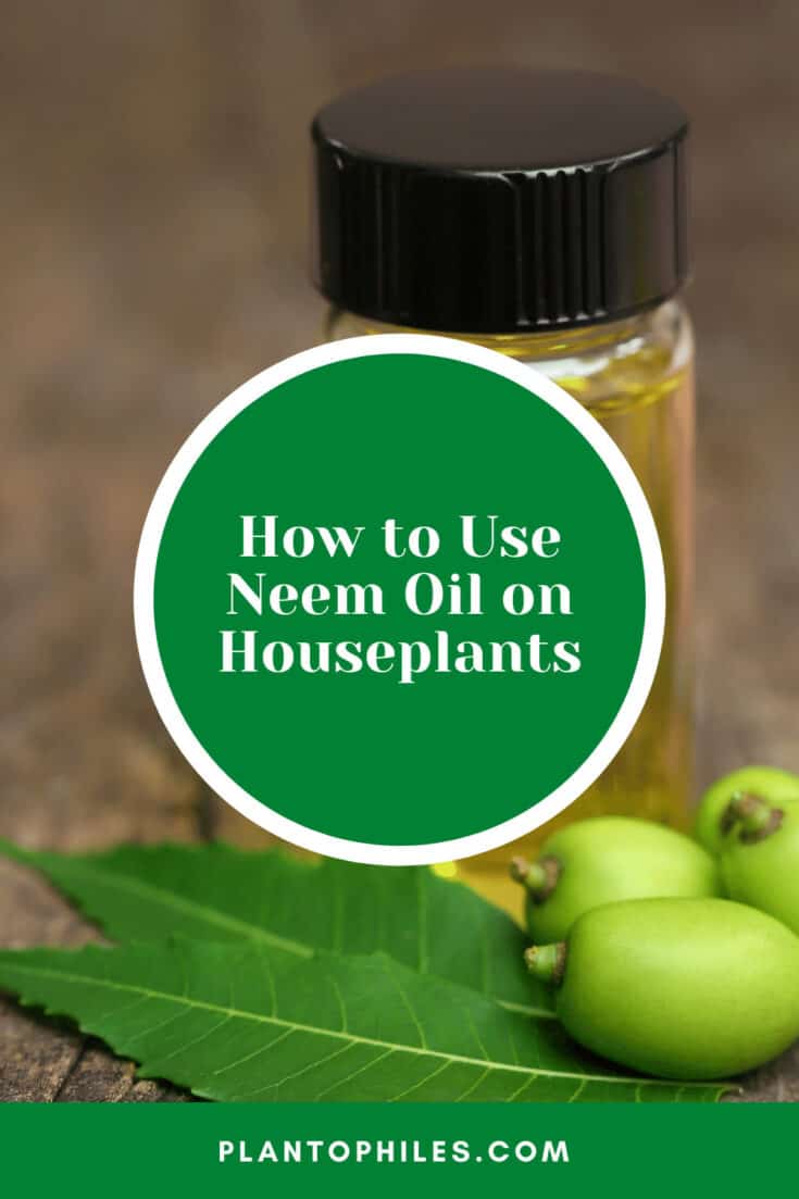 How to Use Neem Oil against Pests