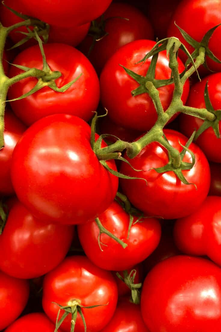西红柿可以在五月种