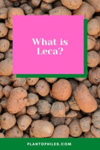 Leca是什么