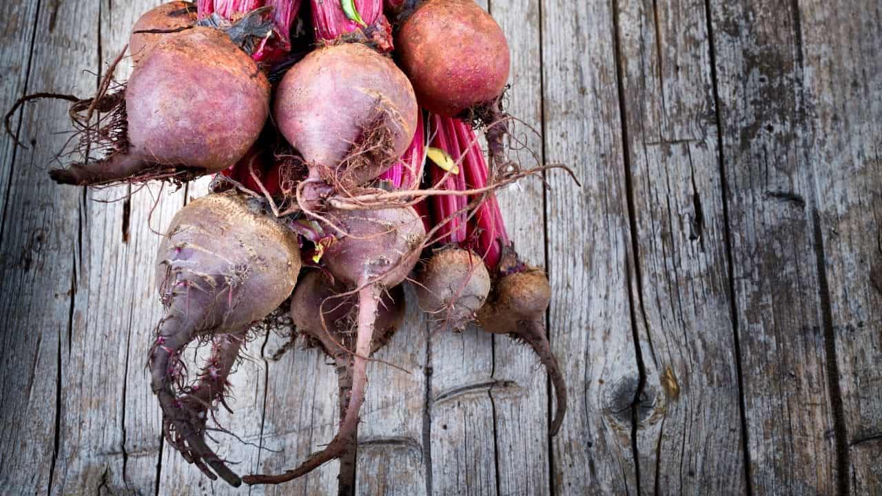 11 Best Vegetables Grown Underground 1