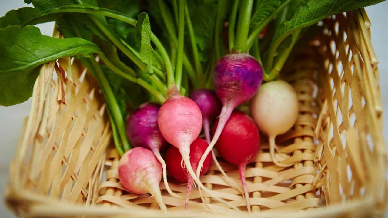 11 Best Vegetables Grown Underground 11