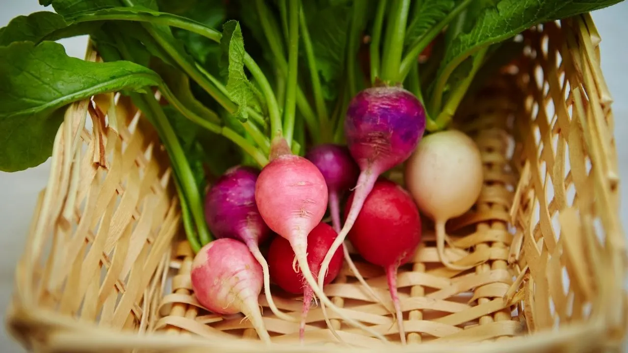 11 Best Vegetables Grown Underground 11