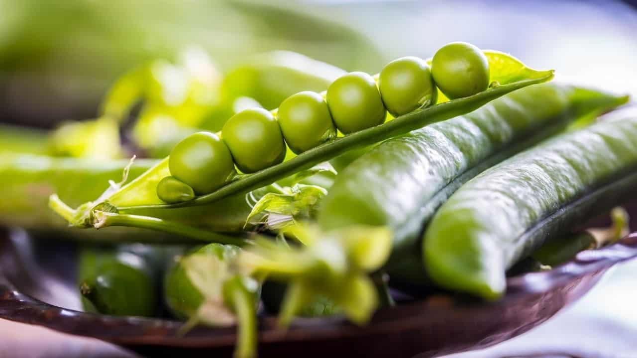 15种最适合水培的蔬菜