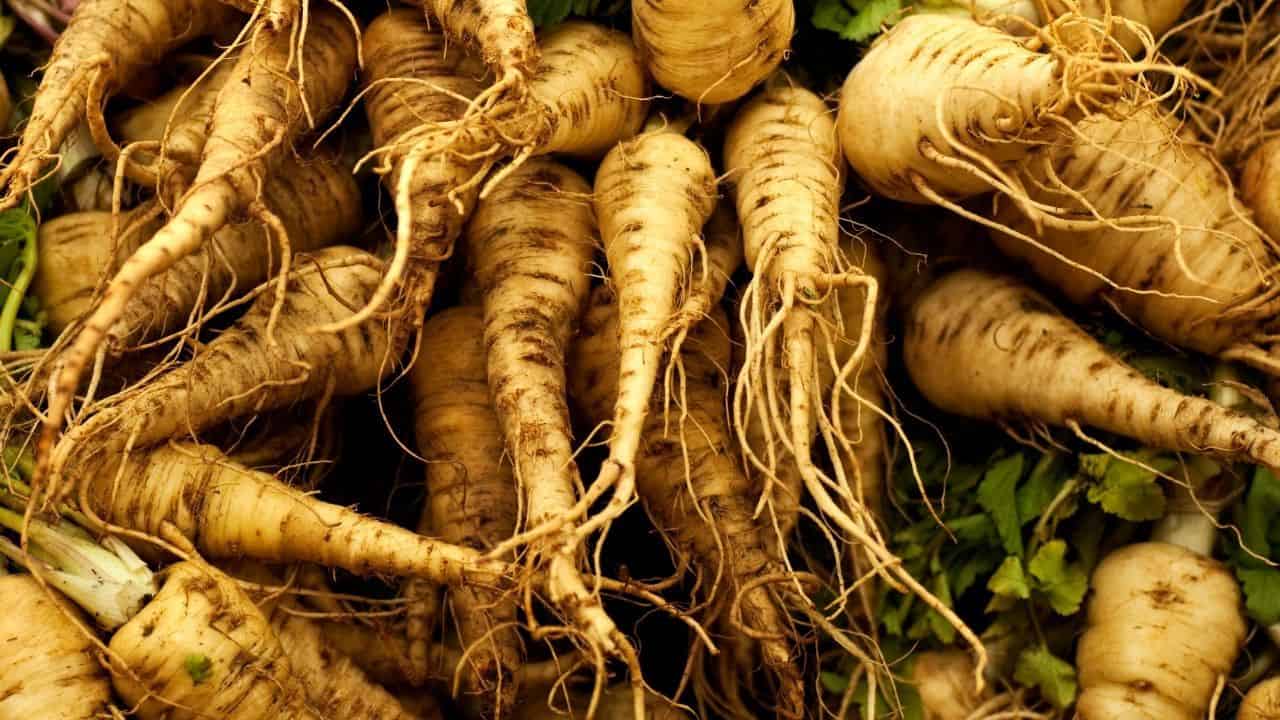 11 Best Vegetables Grown Underground 6