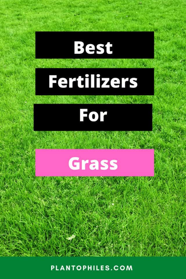 8 Best Fertilizers For Grass - A Buyers Guide