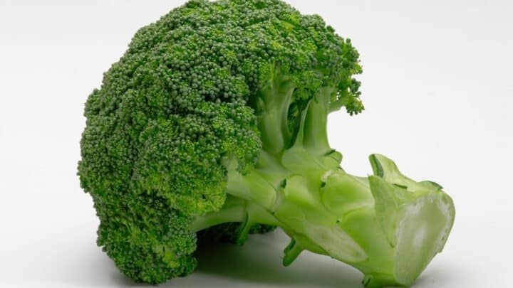 9 Best Broccoli Companion Plants You Need To Know