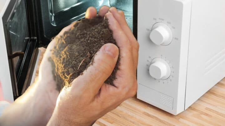 Sterilize Soil in the Microwave — Really?!?