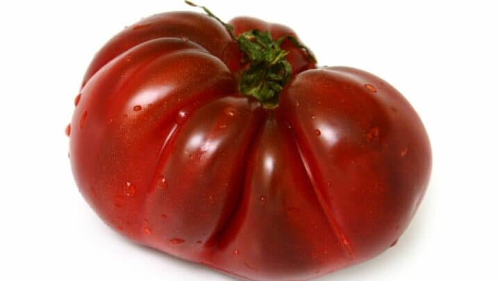 黑色克里米亚番茄植物保健——你应该知道!