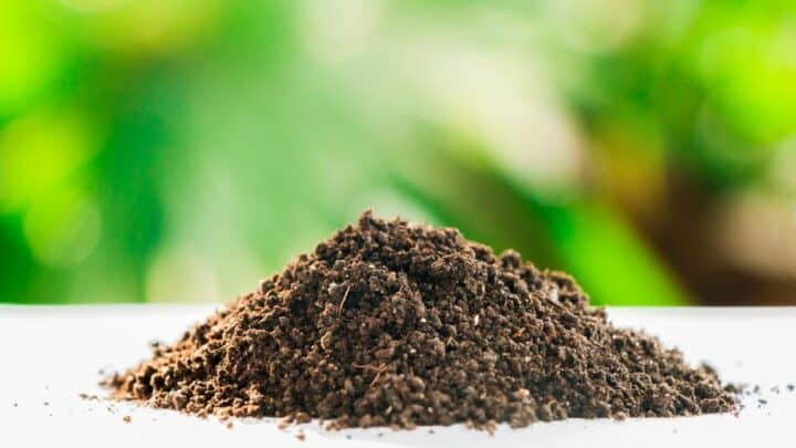 世界上最肥沃的土壤是什么?哇!