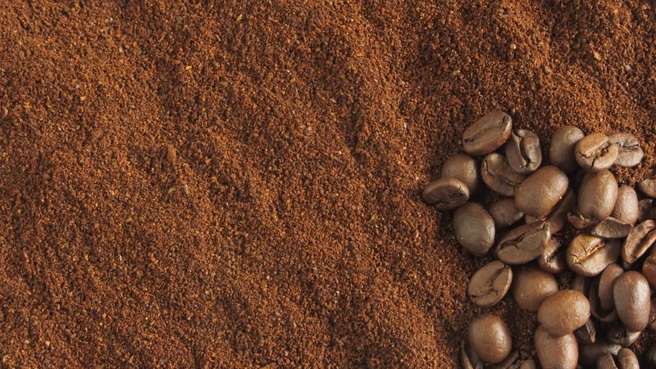向土壤中加入咖啡渣