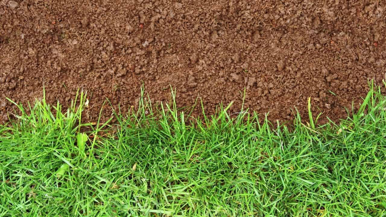 Soil is Important When Deciding How Long and How Much to Water After Planting Grass