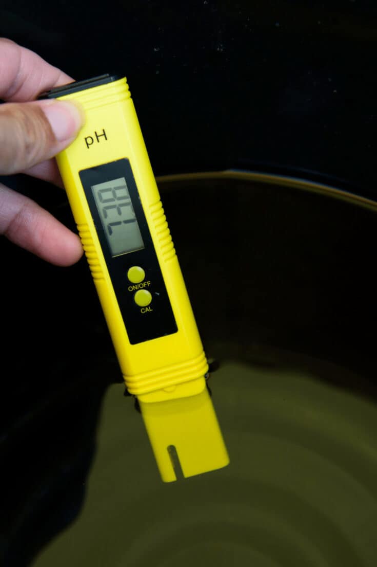 每天测量水培系统的pH值