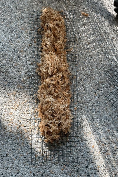 在里面形成一个你想要的厚度和密度的苔藓杆，在两侧和底部留下一些金属丝