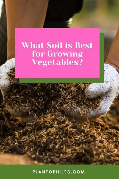 What Soil is Best for Growing Vegetables
