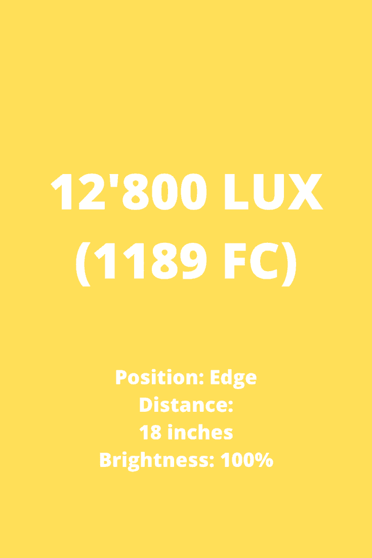 12'800 LUX (1189 FC)生长光