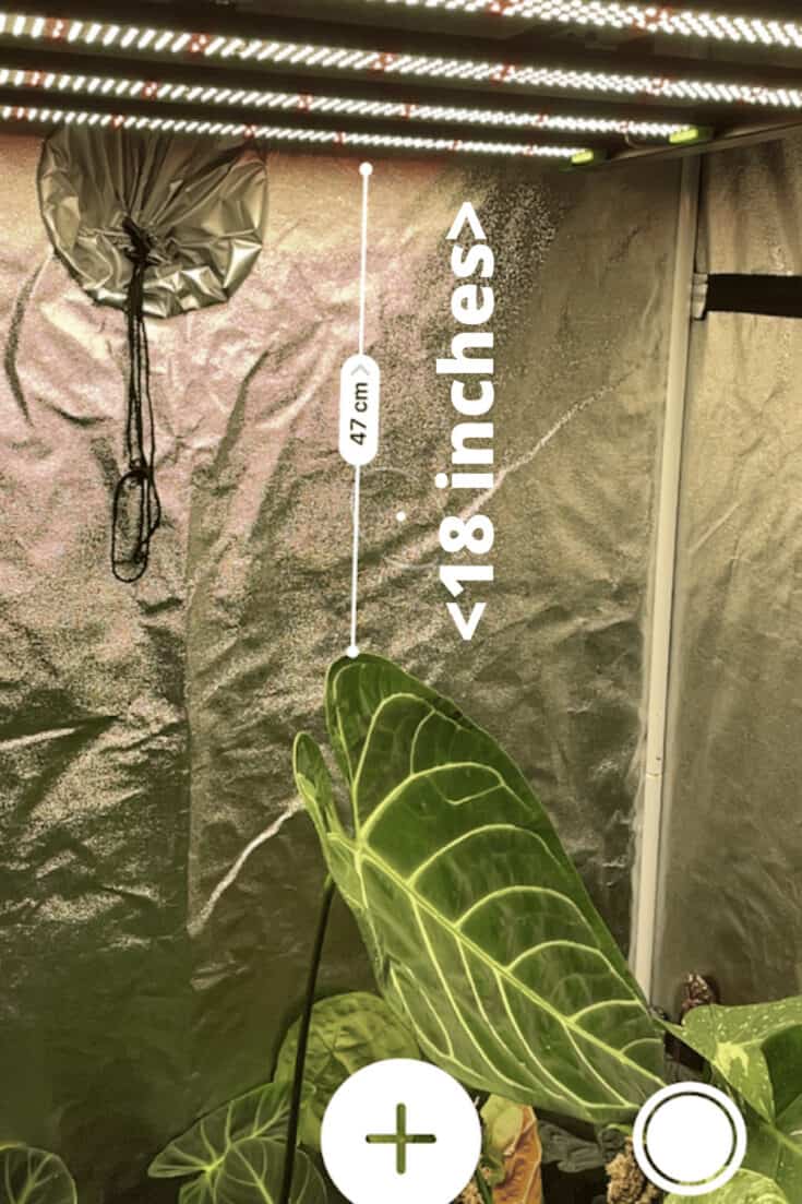 Distance of the grow light to the canopy as well as placement