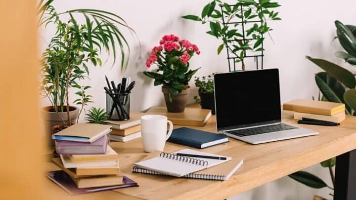 30 Best Plants for Office with No Windows – Top Picks [2022]