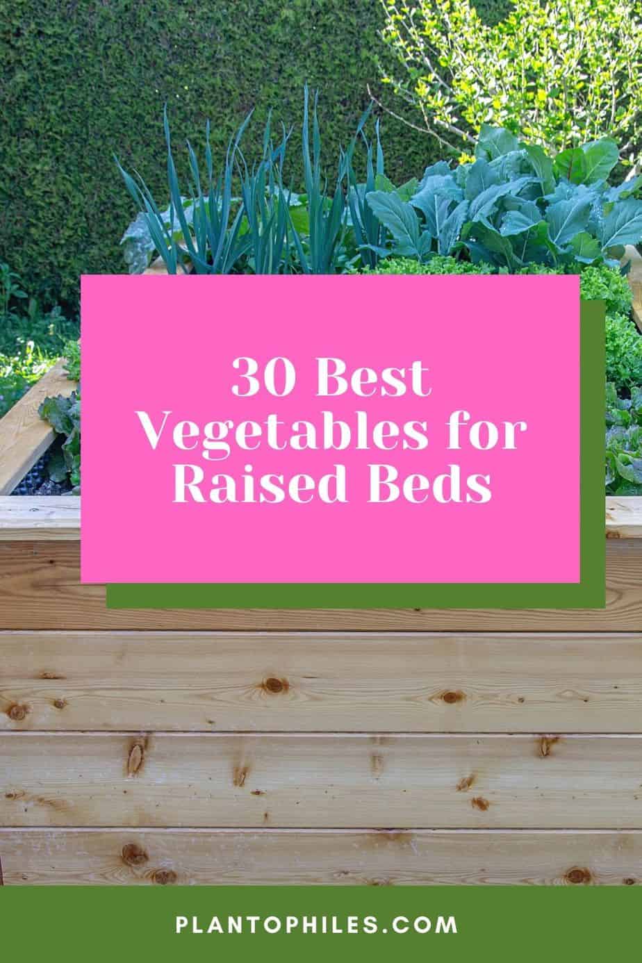 30 Best Vegetables for Raised Beds