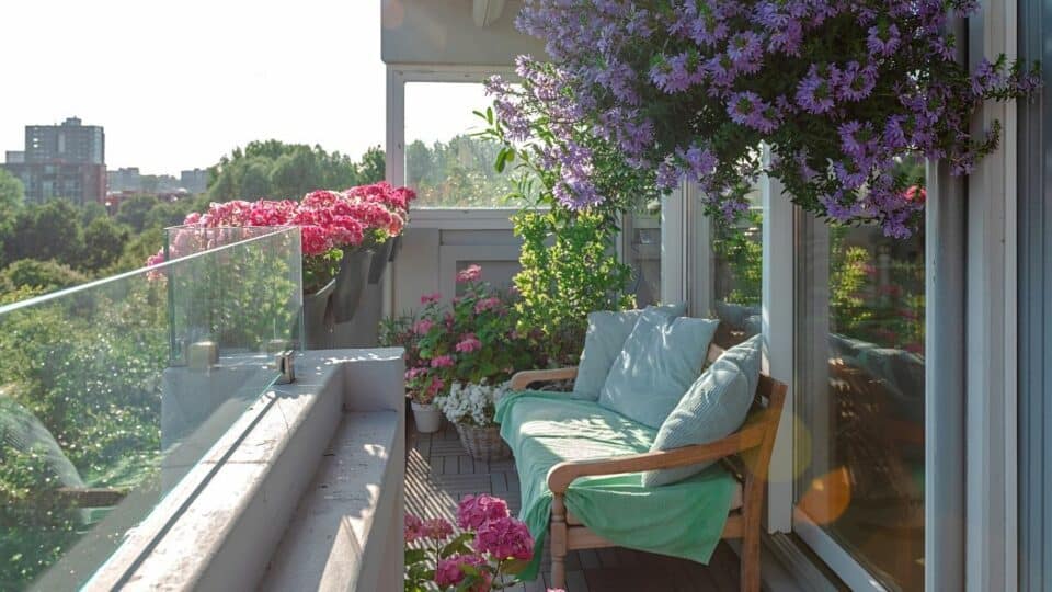 30-plants-for-east-facing-balcony-best-guide-2023