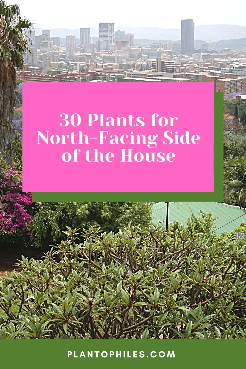 30 Plants for North-Facing Side of the House