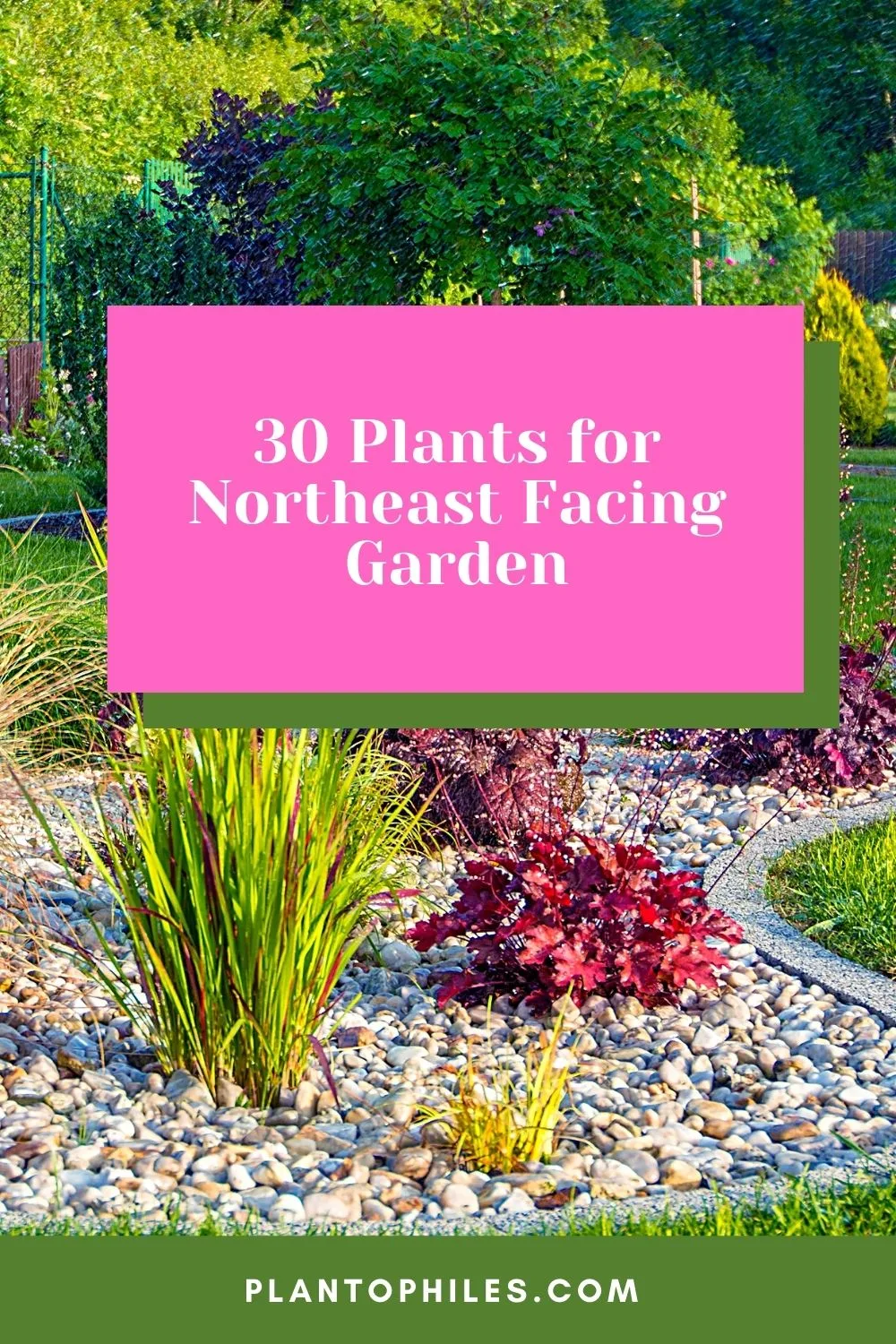30 Plants for Northeast Facing Garden