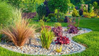 30 Plants for Northeast Facing Garden
