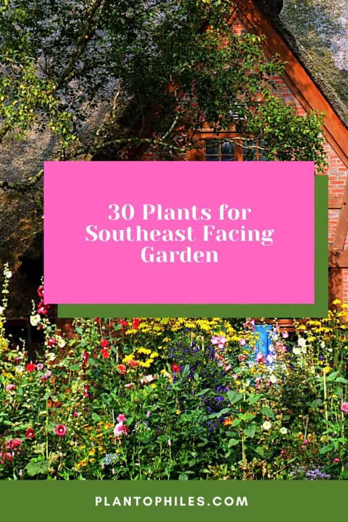 30 Plants For Southeast Facing Garden — Best Guide [2023]