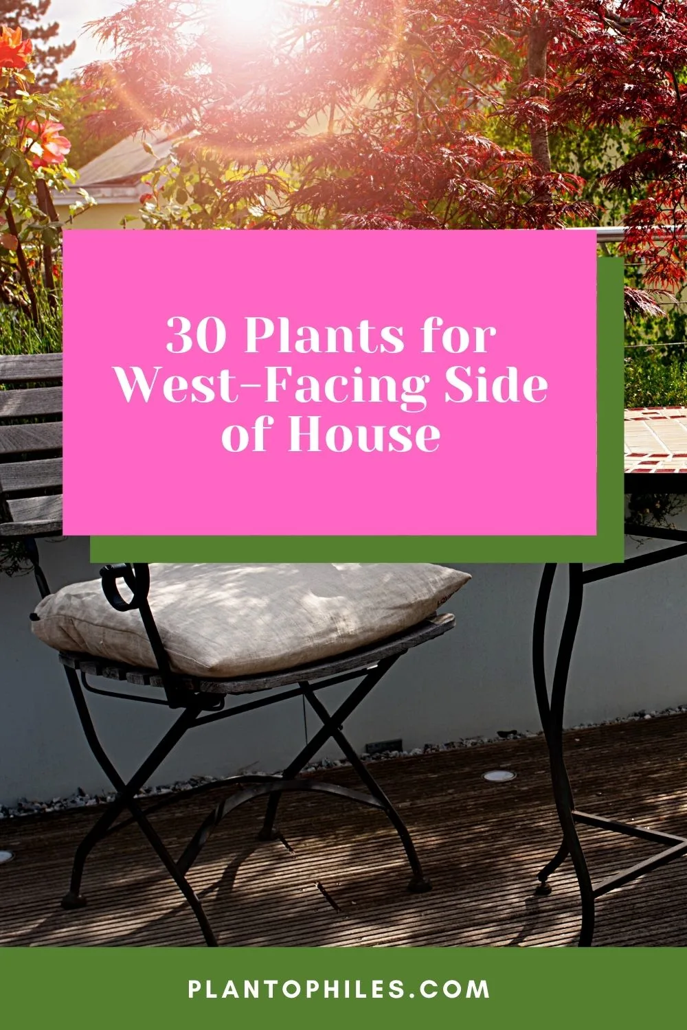 30 Plants for West-Facing Side of the House
