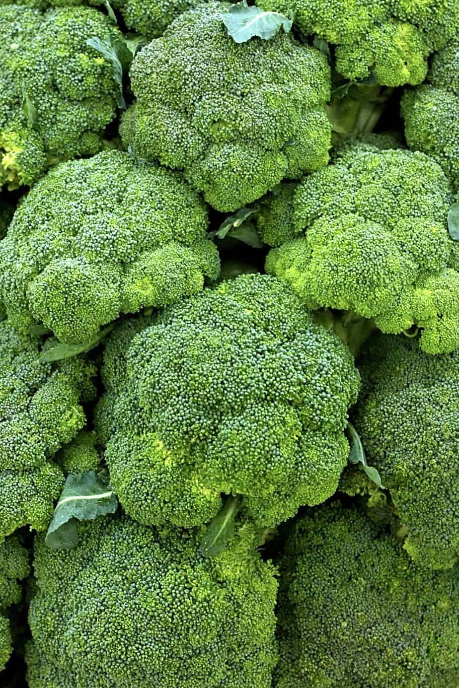 You can grow Broccoli's green and purple varieties in your northeast-facing garden
