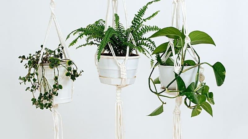 If you love a boho-chic vibe to your room, the Macrame plant hangers are the best types to plant your succulents