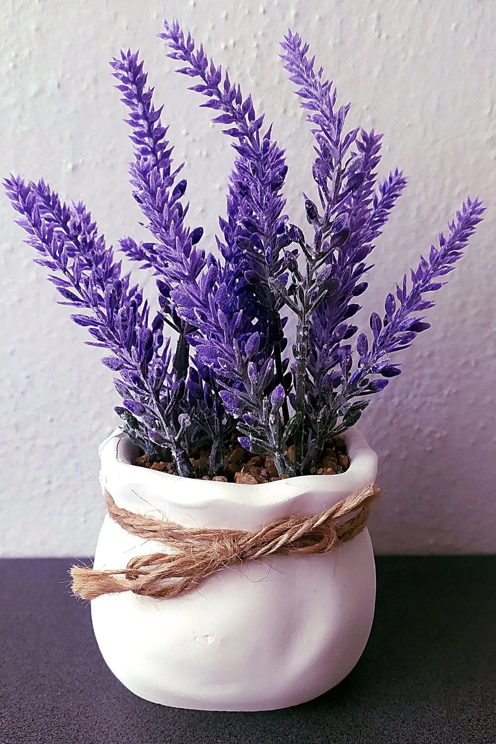 Lavender is known for its scented blooms, hence, it's a great flower to add to your already beautiful southeast-facing garden