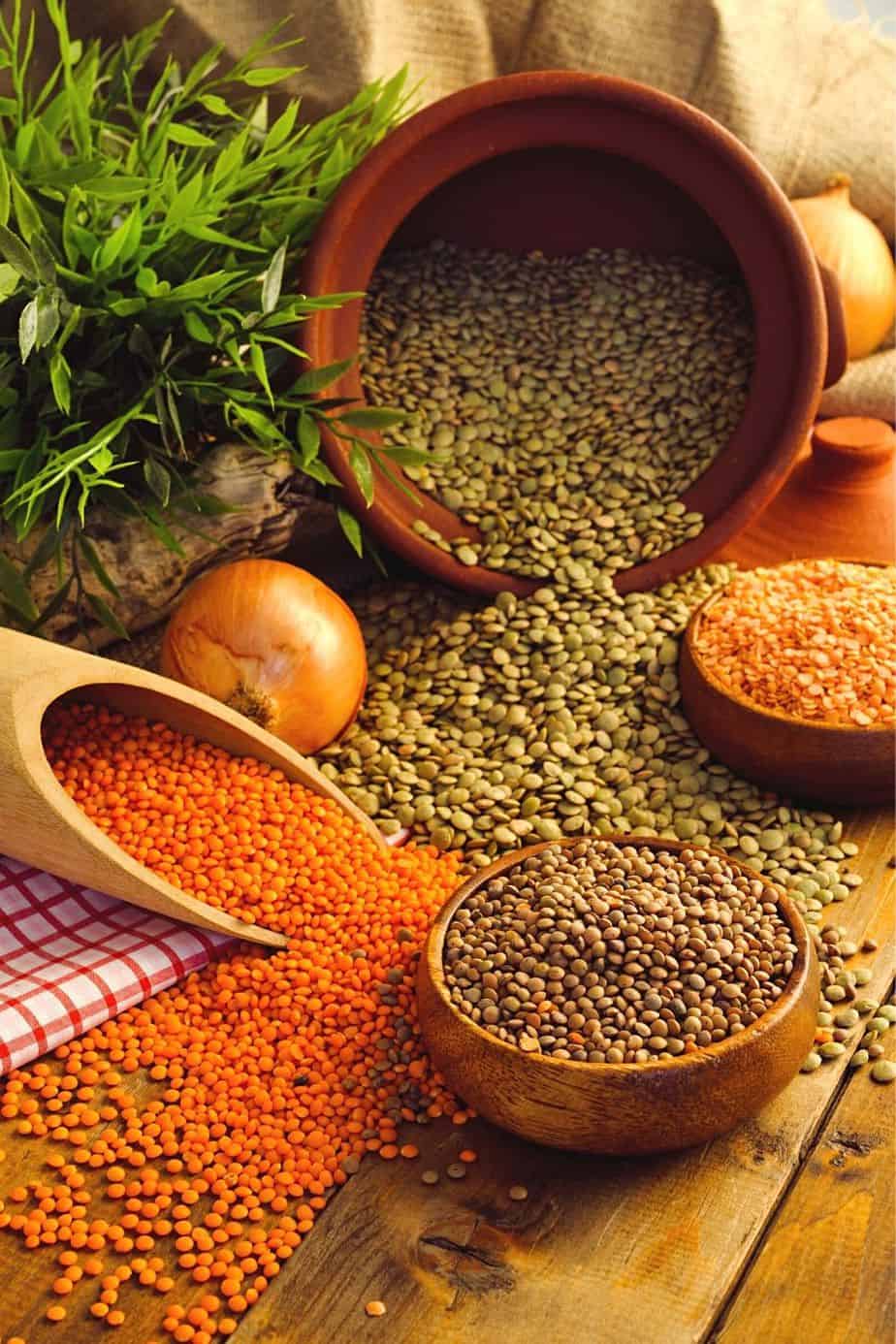 Lentils, small-sized vegetables, grow well in raised beds in the right growing conditions