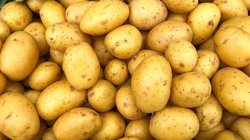 新土豆是一种一口大小的土豆，你可以在春天种植