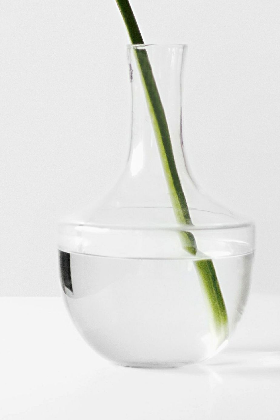 Place the new Philodendron Birkin stem cutting in the glass filled with water
