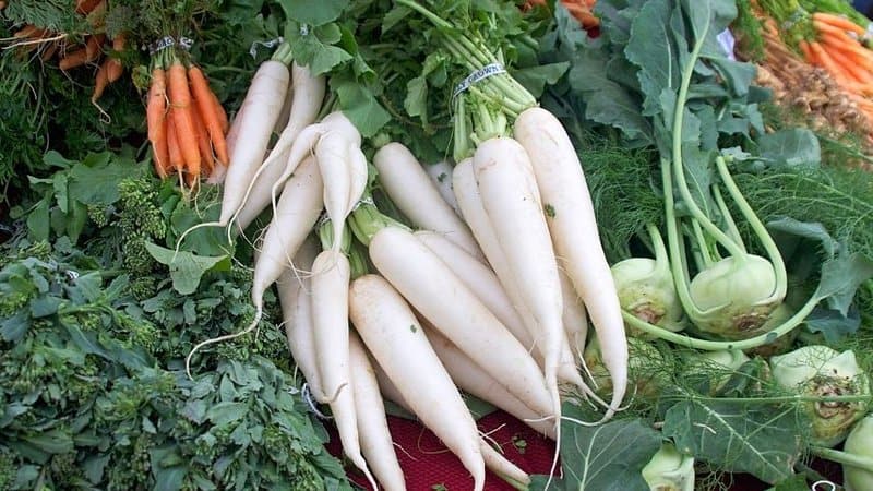 Radishes (Raphanus sativus) are best planted in a vegetable garden after the last frost when the soil's warm