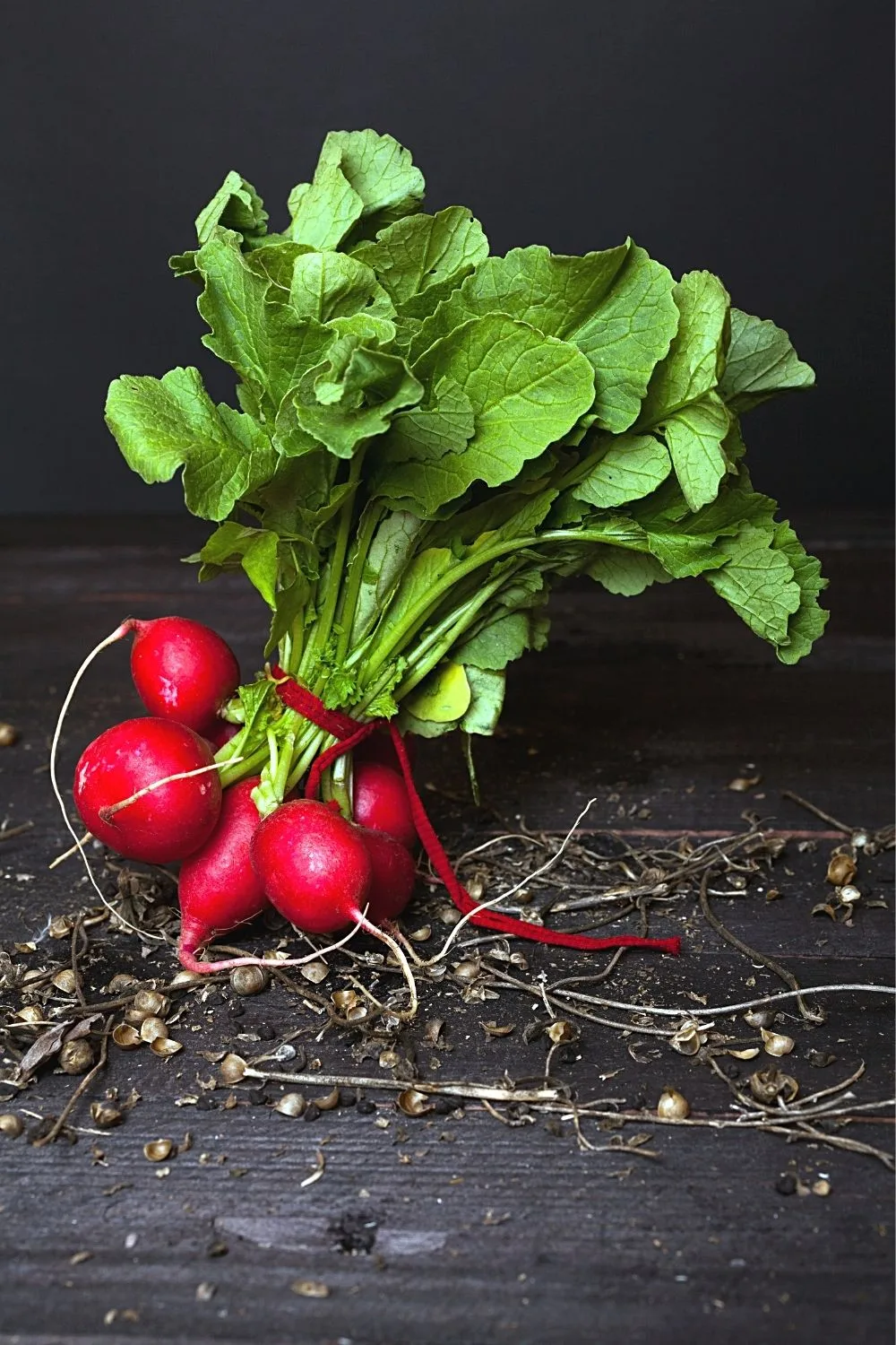 Though Radishes thrive in raised beds, don't expose them to full sunlight for long hours