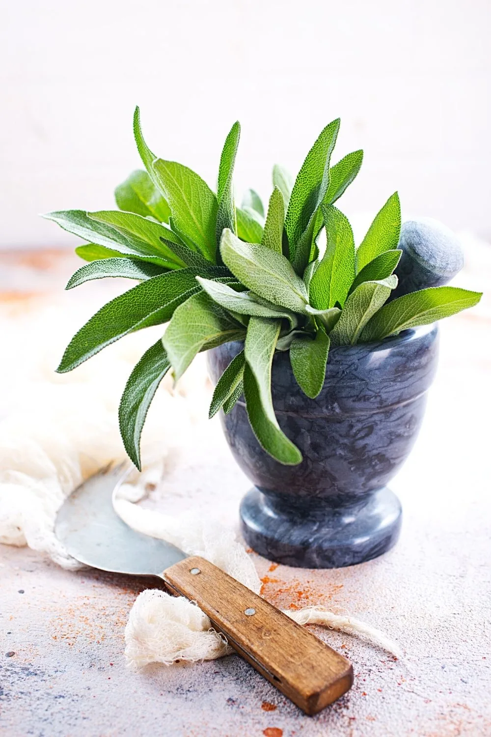 Sage, with its strong-scented leaves, can be easily grown on a south-facing balcony