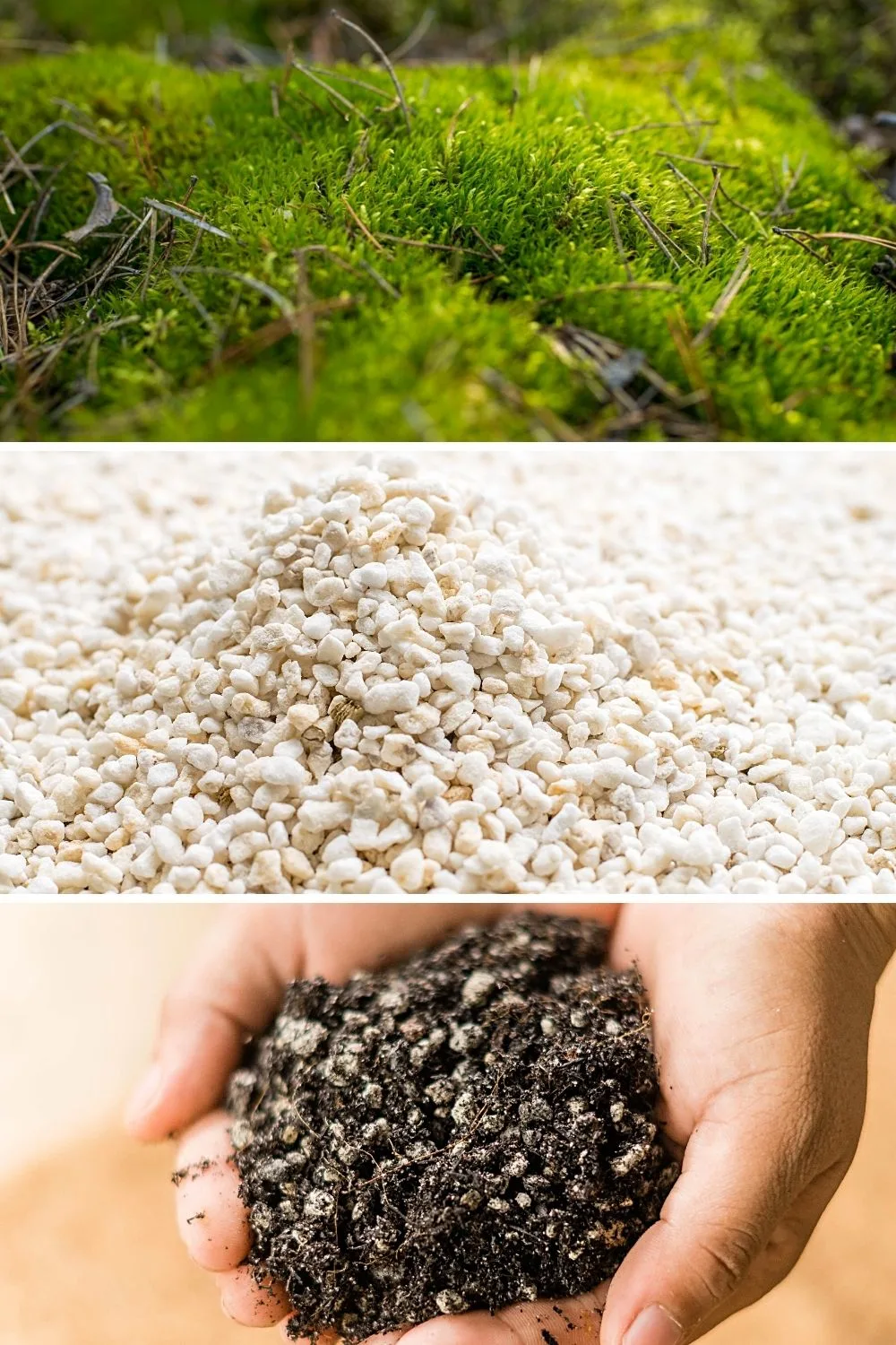 You can mix 1 part of peat moss, 1 part of perlite, and 1 part of cactus mix to ensure your Hoya's healthy growth