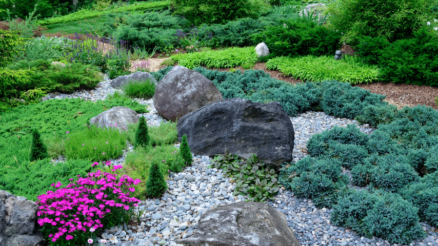 50 Best Plants For Rock Gardens 2022 Top List   Nasturtium 1 