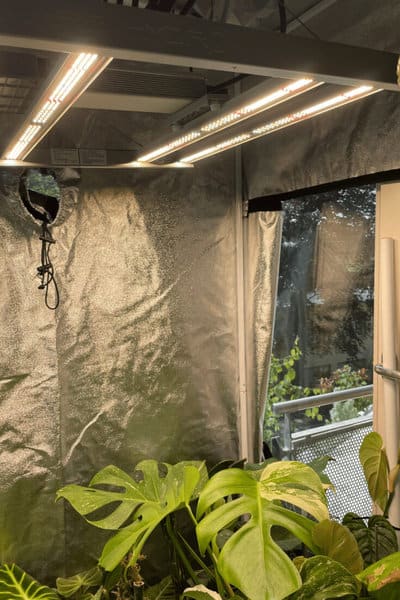 The FC3000 grow light is using a total of 896Samsung and Osram LEDs